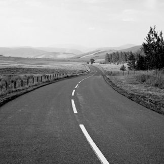 Ruta