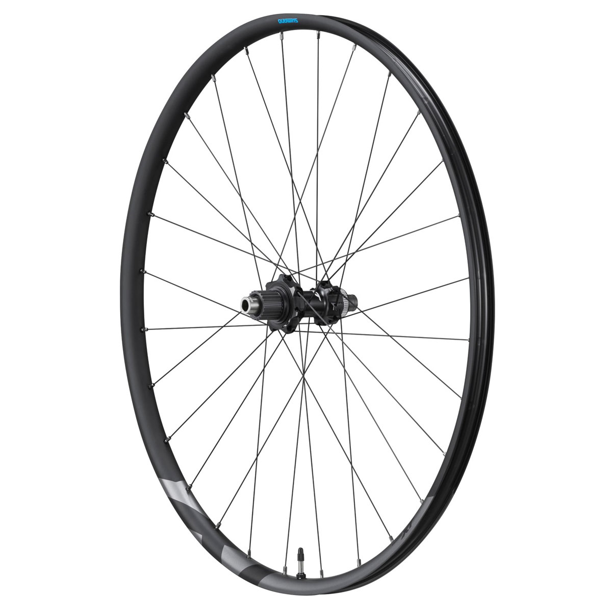 Ruedas Mtb Shimano Wh-m8100 Deore Xt R29 12v - Imagen 2