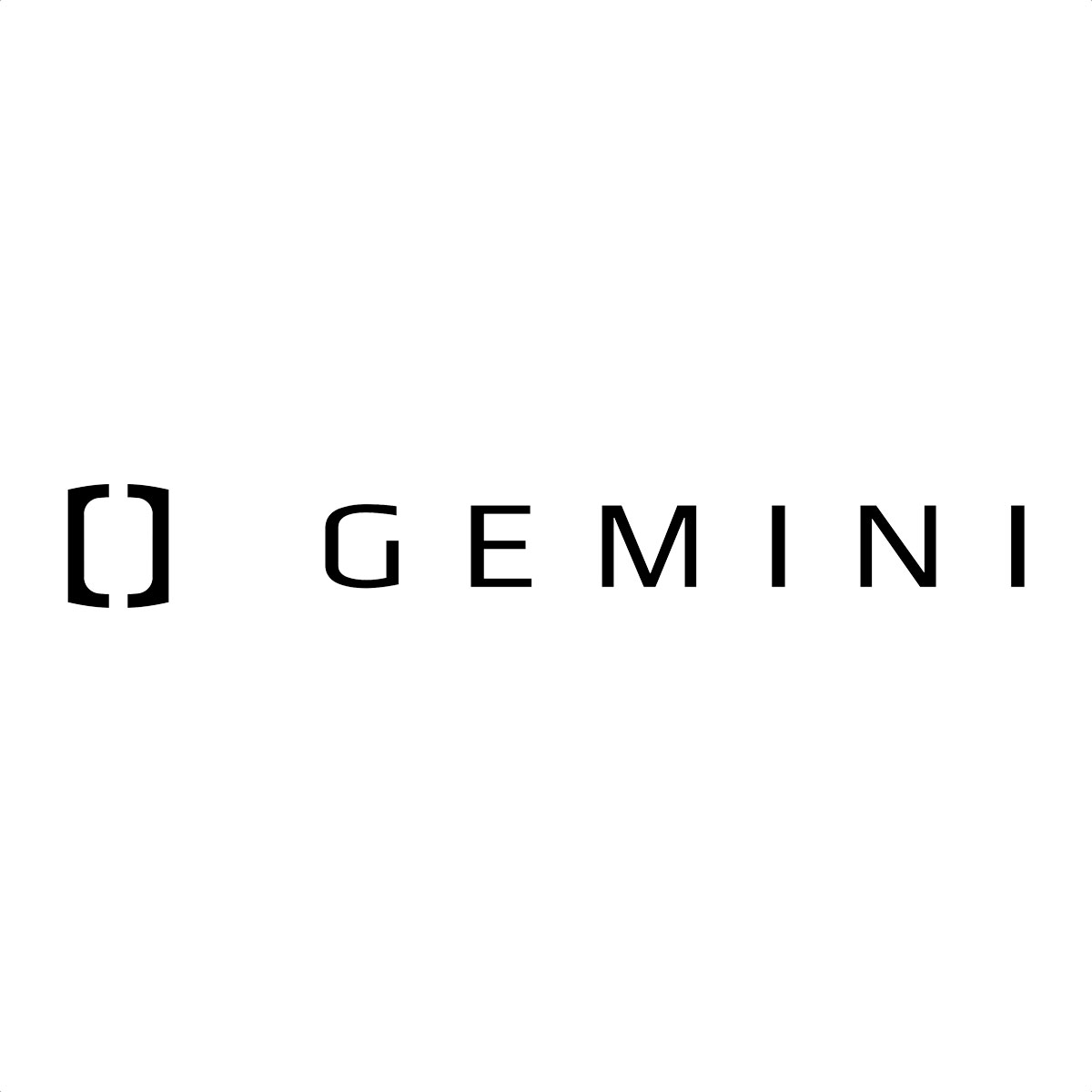 Soporte GPS Gemini SOYUZ Carbono Garmin/Wahoo (Matt) - Imagen 4