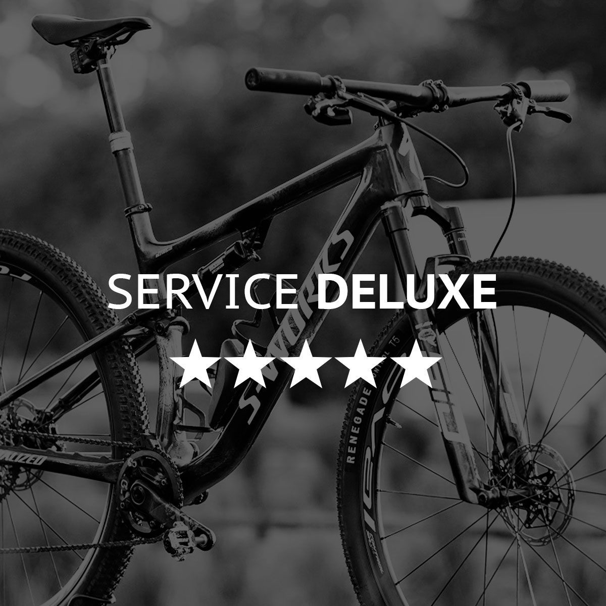 SERVICE DELUXE