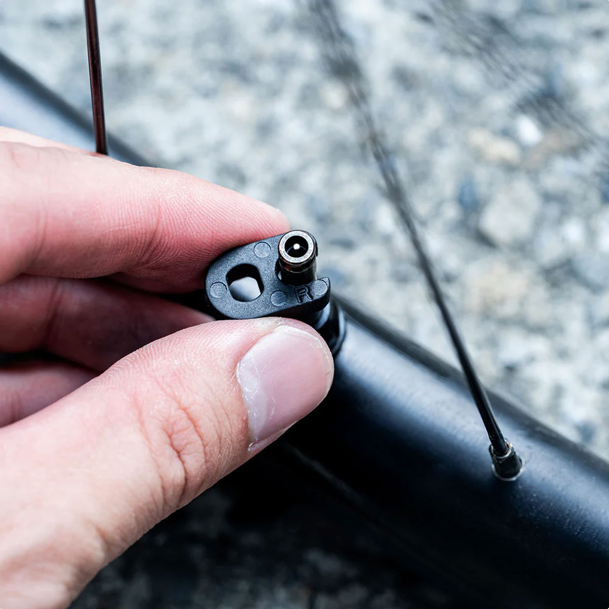 Núcleos De Válvulas Lezyne Schwalbe CLIK™ Valve Cores - Imagen 2